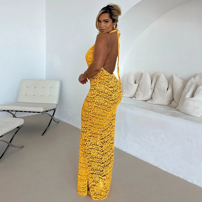 See Through Mesh Embroidery Backless Cut Out Maxi Dress