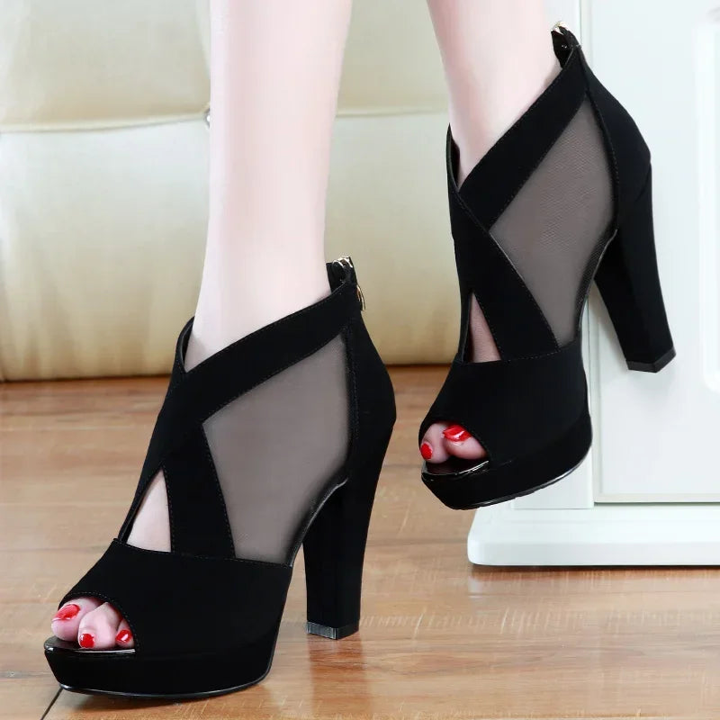 Zip Pointed Toe